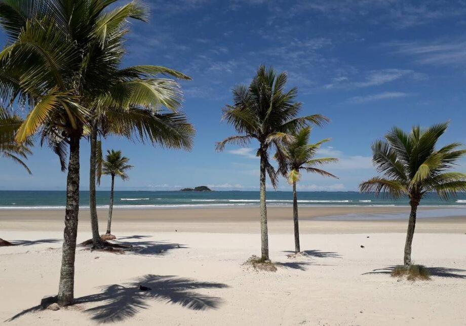 Delphin 3* Guaruja