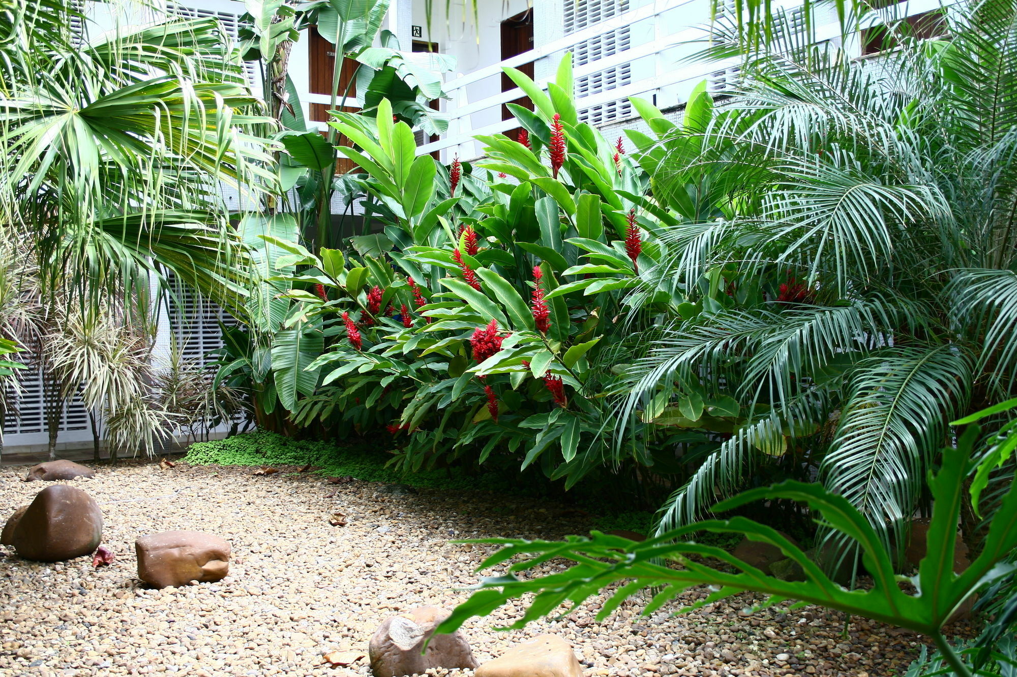 Delphin Hotel Guaruja